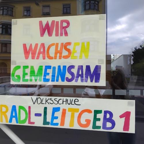 Schulbaum