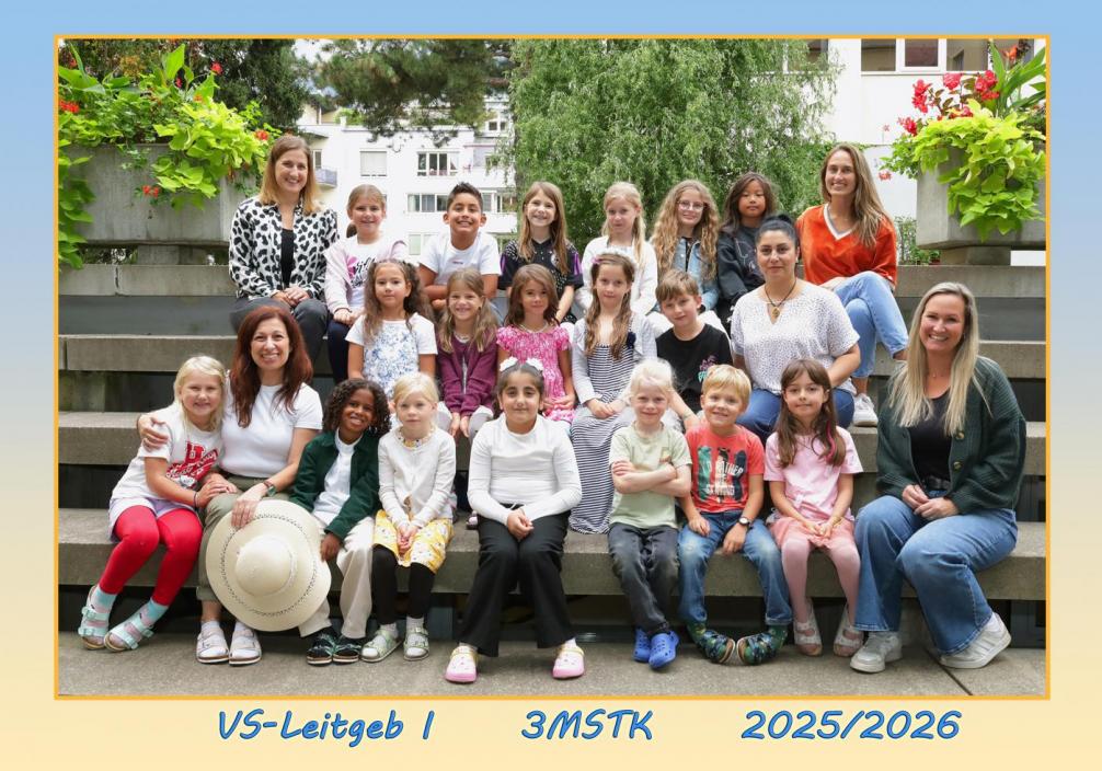 3MSTK 2025